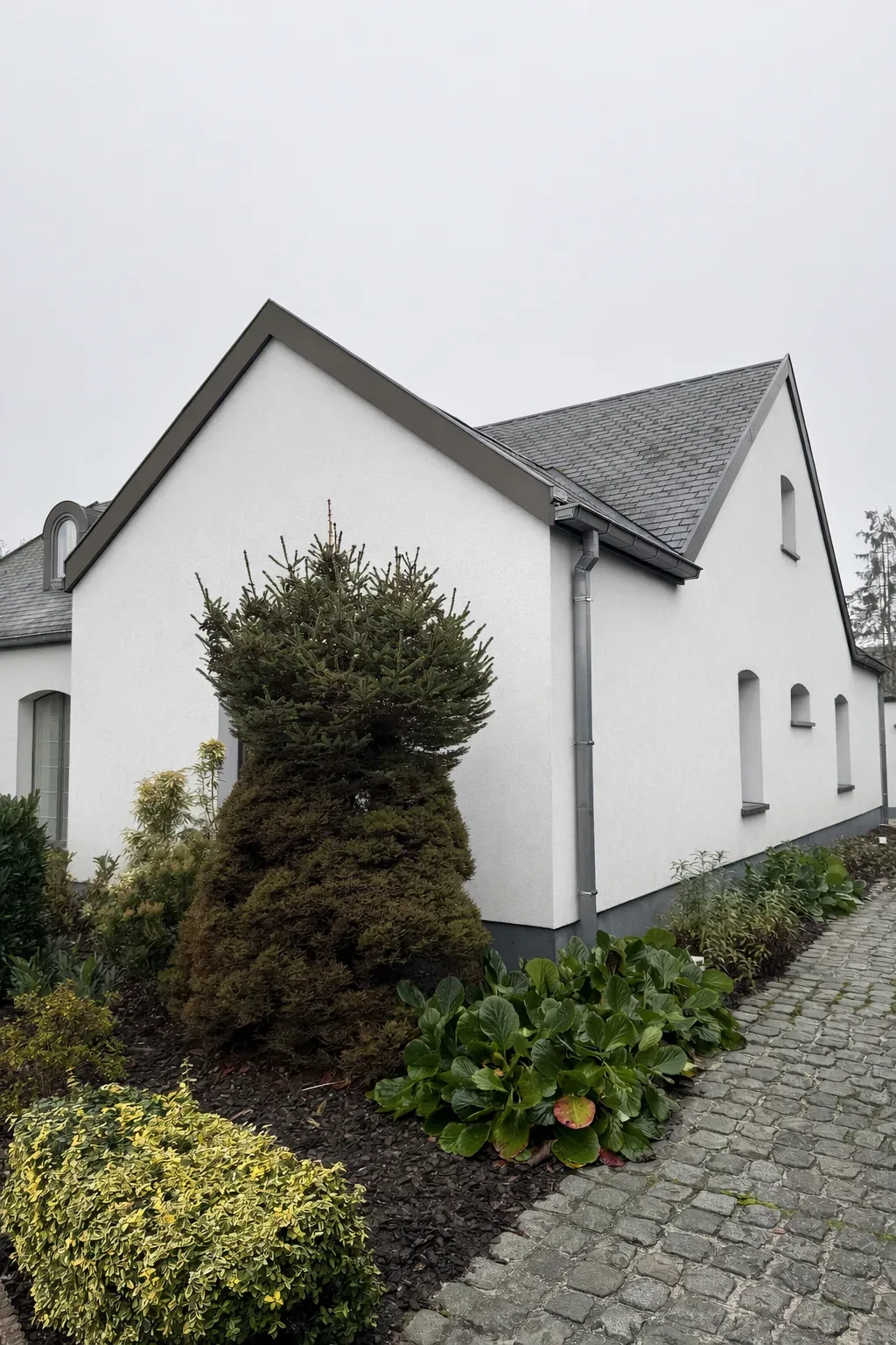 Crepi Care reiniging woning na softwash behandeling
