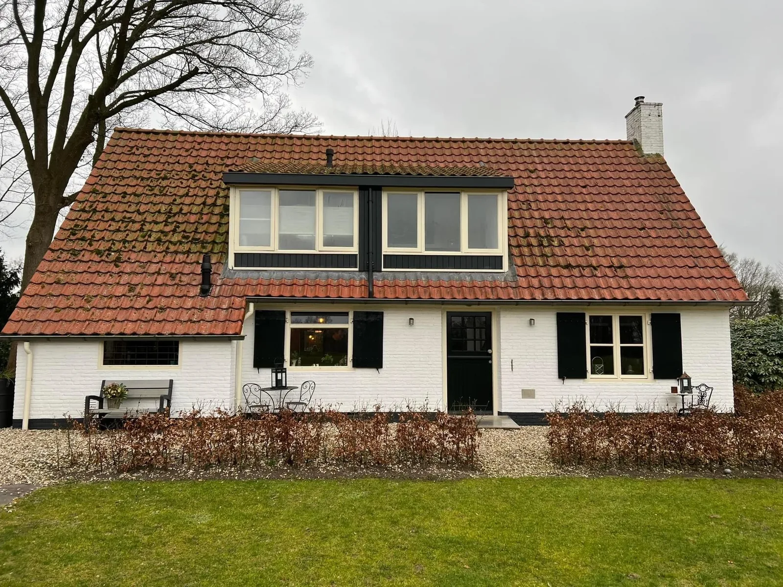 Dak voor reiniging met groene aanslag